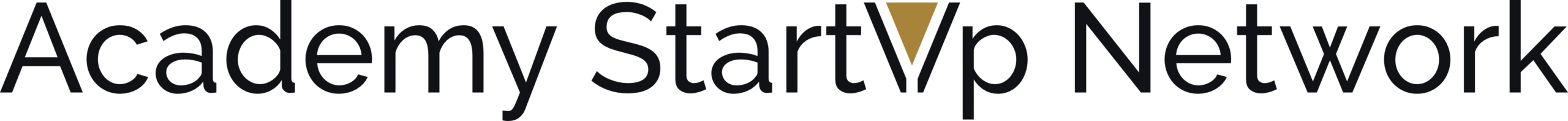 Academy Startup Network logo